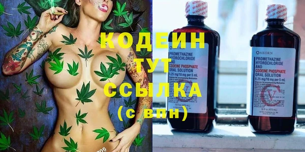 тгк Анжеро-Судженск