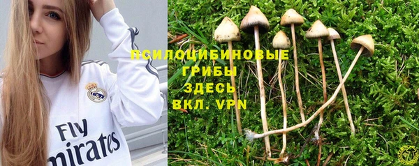 mix Мегион