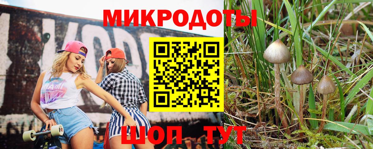 Псилоцибиновые грибы MAGIC MUSHROOMS  Вход с VPN  где найти наркотики  Долгопрудный 