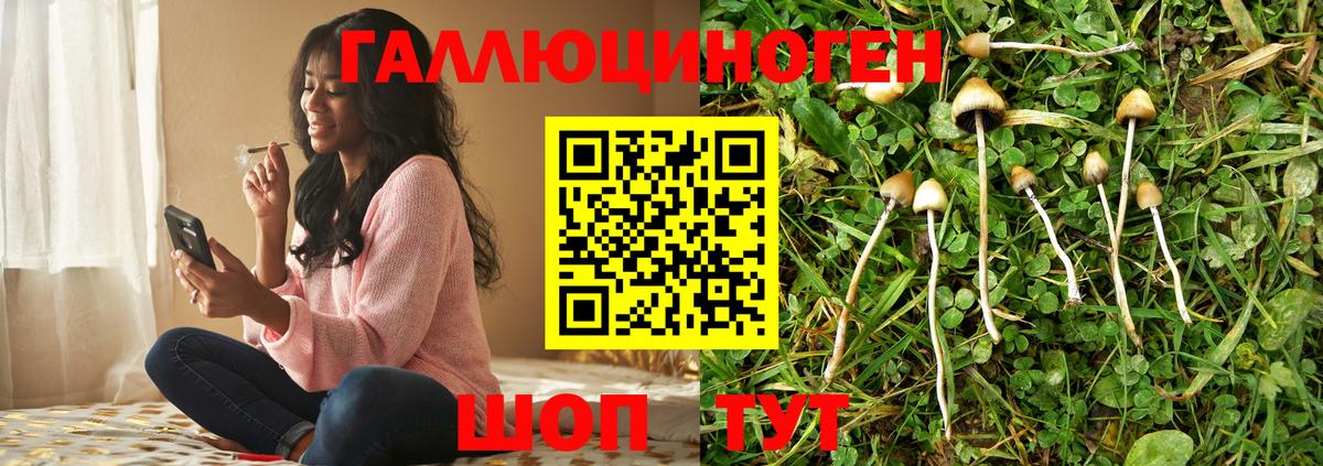 Псилоцибиновые грибы прущие грибы  Долгопрудный 