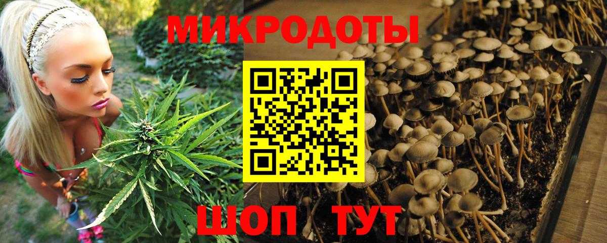 Галлюциногенные грибы MAGIC MUSHROOMS Долгопрудный