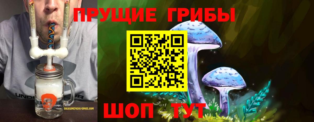 Псилоцибиновые грибы прущие грибы Долгопрудный